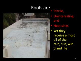 Roofs are
            • Sterile,
            • Uninteresting
              and
            • Heat sinks
            • Yet they
              receive almost
              all of the
              rain, sun, win
              d and life

                           38
 