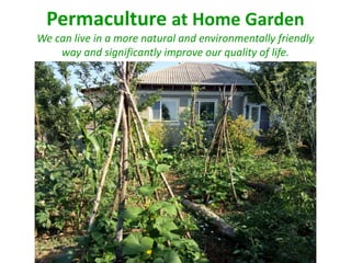 Permaculture at Home Garden
We can live in a more natural and environmentally friendly
way and significantly improve our quality of life.
 