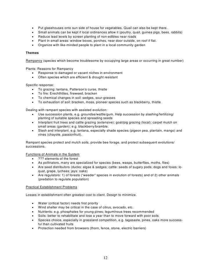 The Kite Runner Essay Thesis Essay On Importance Of English Language also Narrative Essay Example For High School Permaculture Design Course Outline Topic English Essay