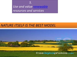5.
Use and value renewable
resources and services
NATURE ITSELF IS THE BEST MODEL
 