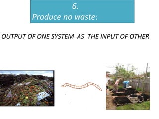 6.
Produce no waste:
OUTPUT OF ONE SYSTEM AS THE INPUT OF OTHER
 