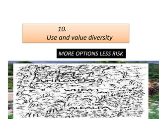 10.
Use and value diversity
MORE OPTIONS LESS RISK
 