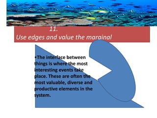 11.
Use edges and value the marginal
•The interface between
things is where the most
interesting events take
place. These are often the
most valuable, diverse and
productive elements in the
system.
 