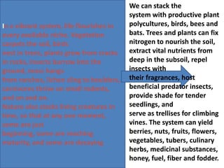 In a vibrant system, life flourishes in
every available niche. Vegetation
carpets the soil, birds
nest in trees, plants grow from cracks
in rocks, insects burrow into the
ground, moss hangs
from ranches, lichen cling to boulders,
carnivores thrive on small rodents,
and on and on.
Nature also stacks living creatures in
time, so that at any one moment,
some are just
beginning, some are reaching
maturity, and some are decaying
We can stack the
system with productive plant
polycultures, birds, bees and
bats. Trees and plants can fix
nitrogen to nourish the soil,
extract vital nutrients from
deep in the subsoil, repel
insects with
their fragrances, host
beneficial predator insects,
provide shade for tender
seedlings, and
serve as trellises for climbing
vines. The system can yield
berries, nuts, fruits, flowers,
vegetables, tubers, culinary
herbs, medicinal substances,
honey, fuel, fiber and fodder.
 