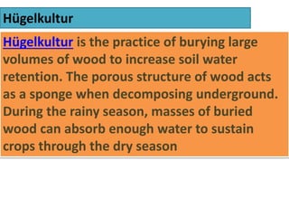 Hügelkultur
Hügelkultur is the practice of burying large
volumes of wood to increase soil water
retention. The porous structure of wood acts
as a sponge when decomposing underground.
During the rainy season, masses of buried
wood can absorb enough water to sustain
crops through the dry season
 