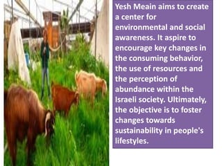 Yesh Meain aims to create
a center for
environmental and social
awareness. It aspire to
encourage key changes in
the consuming behavior,
the use of resources and
the perception of
abundance within the
Israeli society. Ultimately,
the objective is to foster
changes towards
sustainability in people's
lifestyles.
 