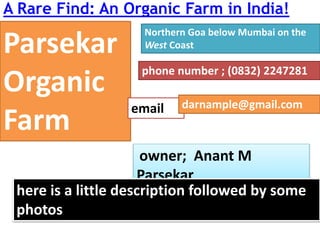 A Rare Find: An Organic Farm in India!
Parsekar
Organic
Farm
Northern Goa below Mumbai on the
West Coast
phone number ; (0832) 2247281
email darnample@gmail.com
owner; Anant M
Parsekar
here is a little description followed by some
photos
 
