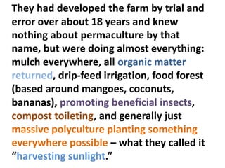 They had developed the farm by trial and
error over about 18 years and knew
nothing about permaculture by that
name, but were doing almost everything:
mulch everywhere, all organic matter
returned, drip-feed irrigation, food forest
(based around mangoes, coconuts,
bananas), promoting beneficial insects,
compost toileting, and generally just
massive polyculture planting something
everywhere possible – what they called it
“harvesting sunlight.”
 