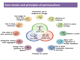 Core tenets and principles of permaculture
 