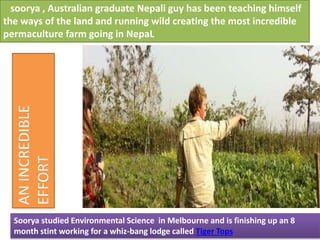 Soorya studied Environmental Science in Melbourne and is finishing up an 8
month stint working for a whiz-bang lodge called Tiger Tops
soorya , Australian graduate Nepali guy has been teaching himself
the ways of the land and running wild creating the most incredible
permaculture farm going in NepaL
ANINCREDIBLE
EFFORT
 