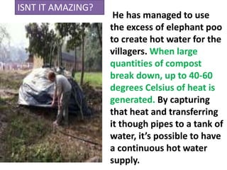 He has managed to use
the excess of elephant poo
to create hot water for the
villagers. When large
quantities of compost
break down, up to 40-60
degrees Celsius of heat is
generated. By capturing
that heat and transferring
it though pipes to a tank of
water, it’s possible to have
a continuous hot water
supply.
ISNT IT AMAZING?
 