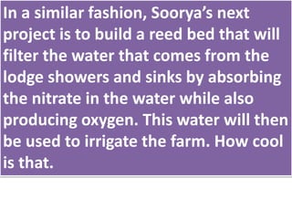 In a similar fashion, Soorya’s next
project is to build a reed bed that will
filter the water that comes from the
lodge showers and sinks by absorbing
the nitrate in the water while also
producing oxygen. This water will then
be used to irrigate the farm. How cool
is that.
 