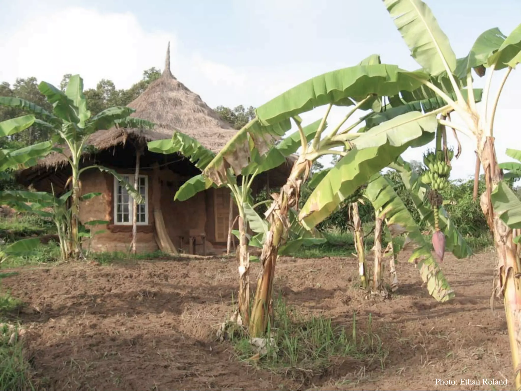 Permaculture Thailand