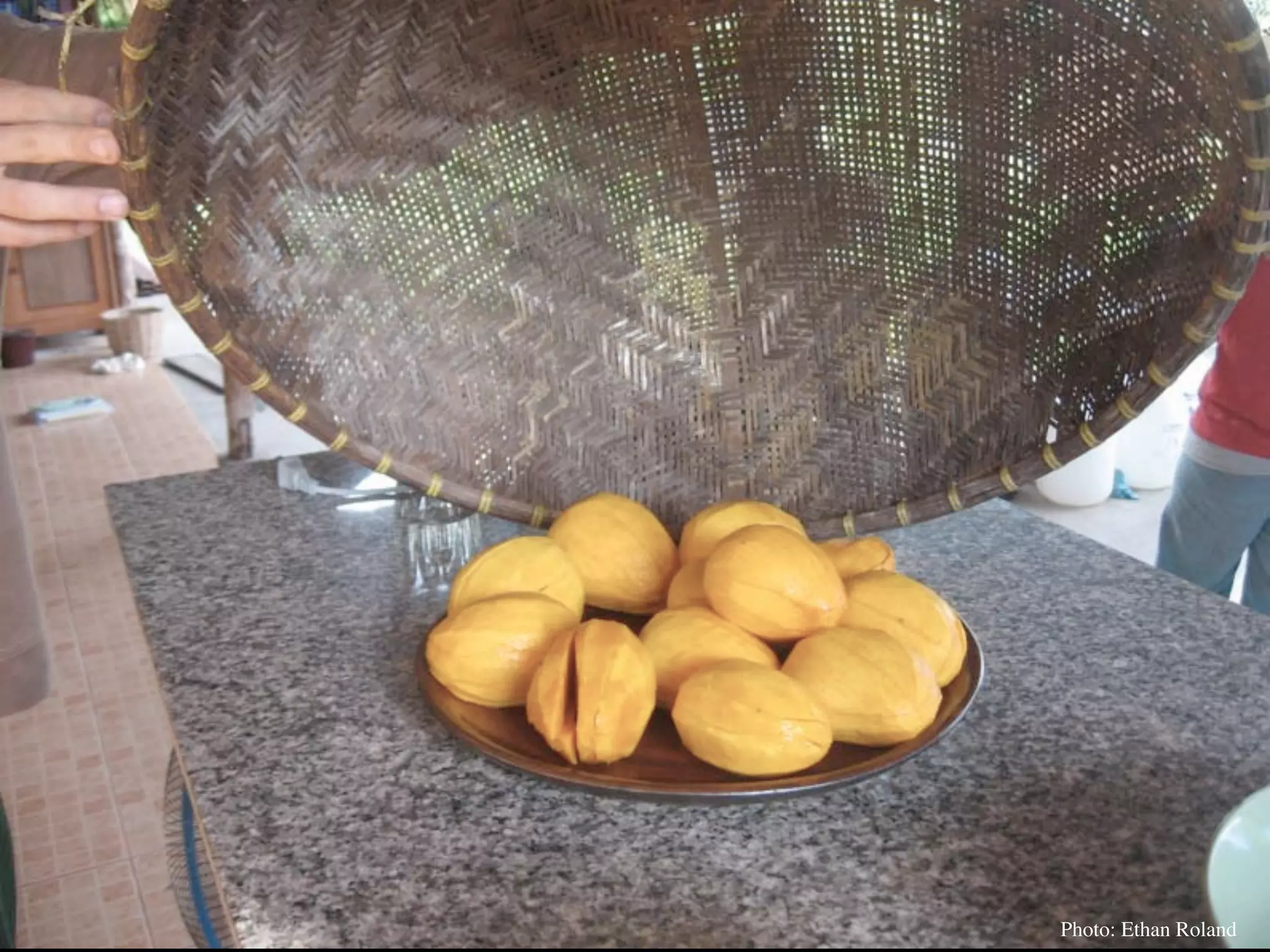 Permaculture Thailand