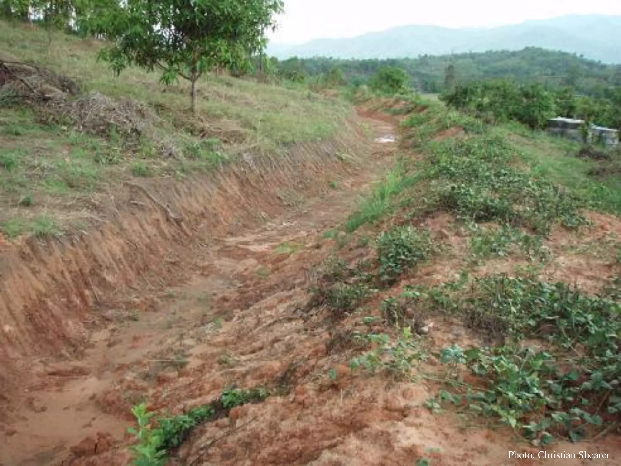 Permaculture Thailand