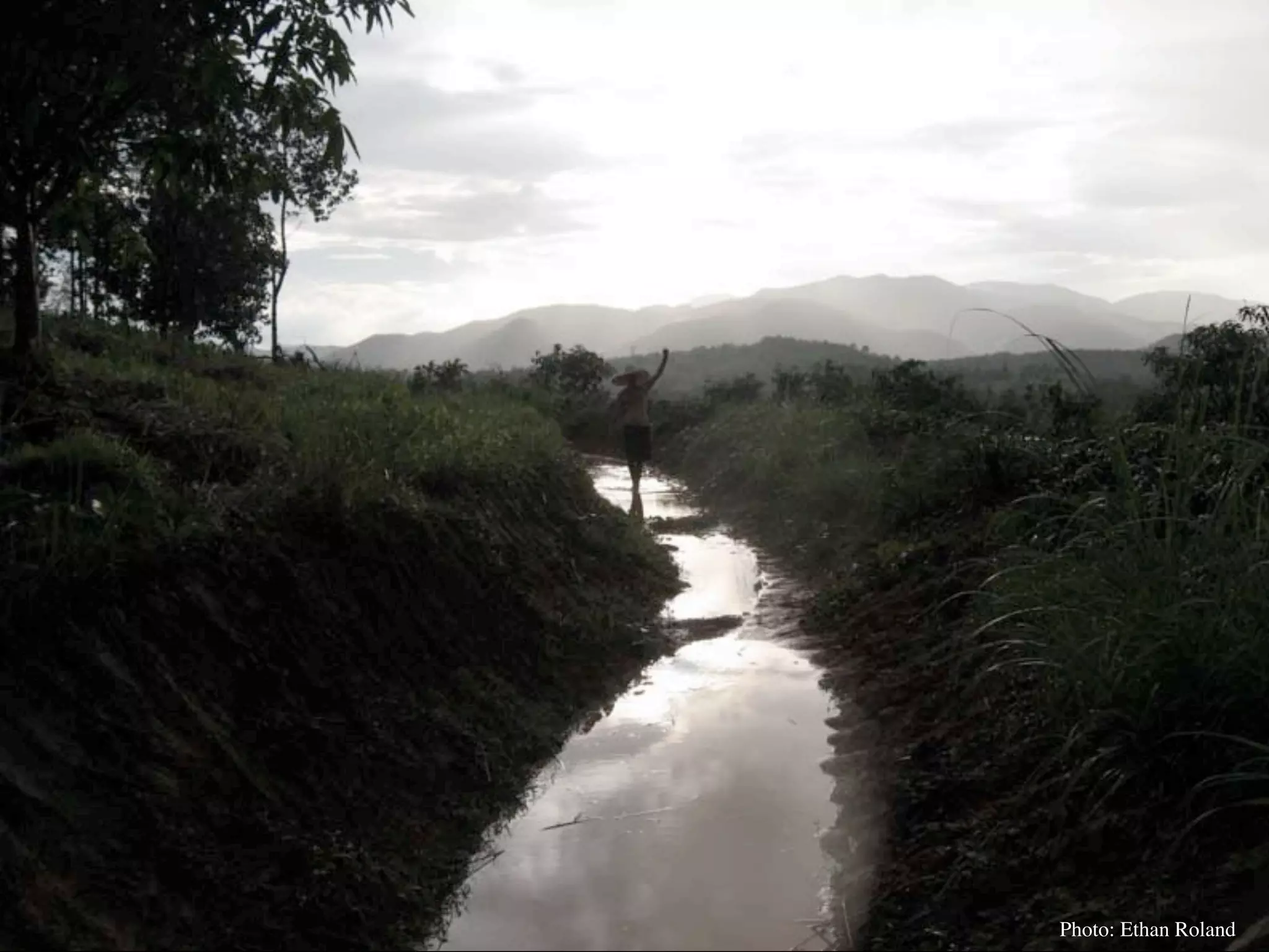 Permaculture Thailand