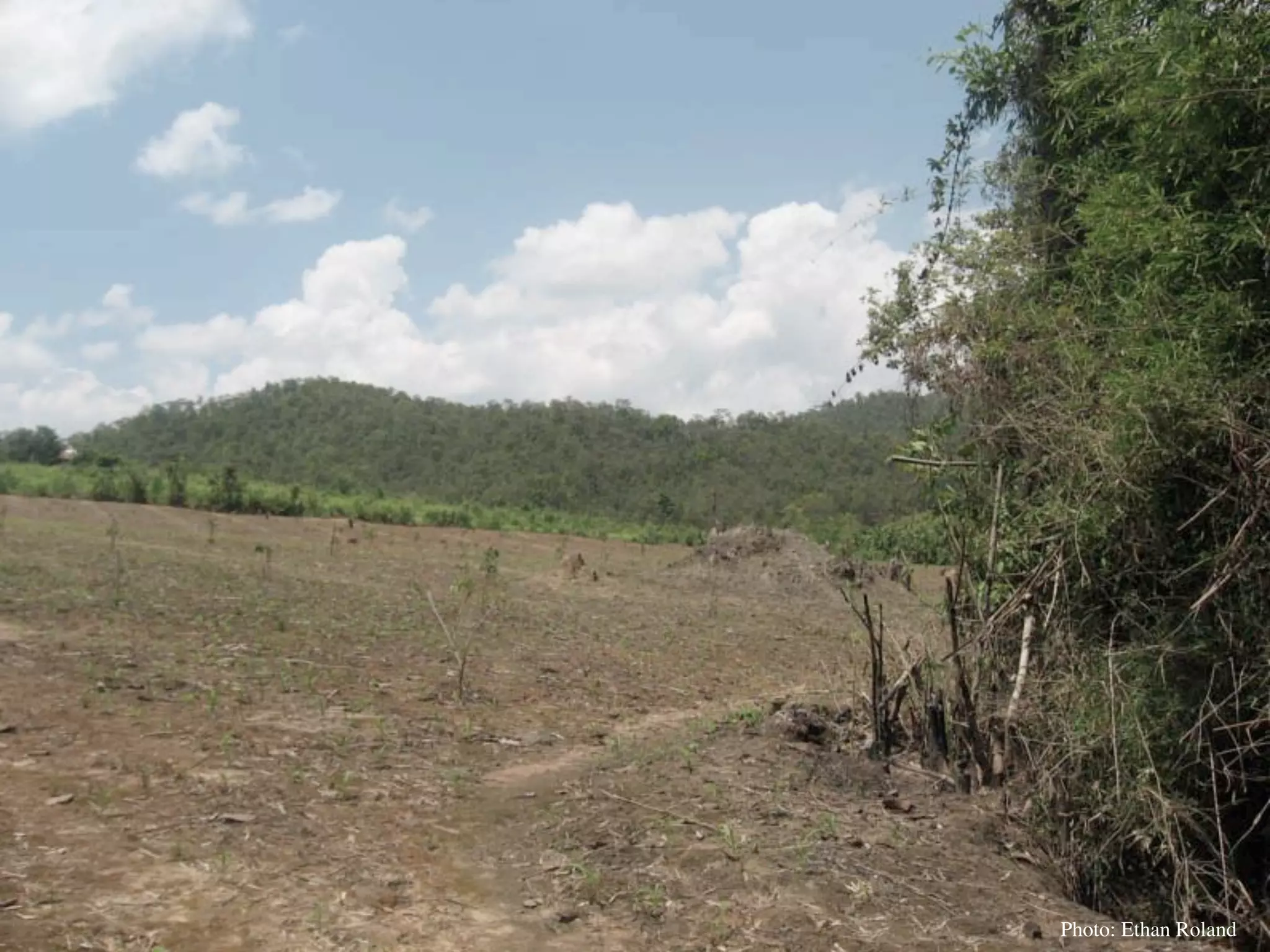 Permaculture Thailand