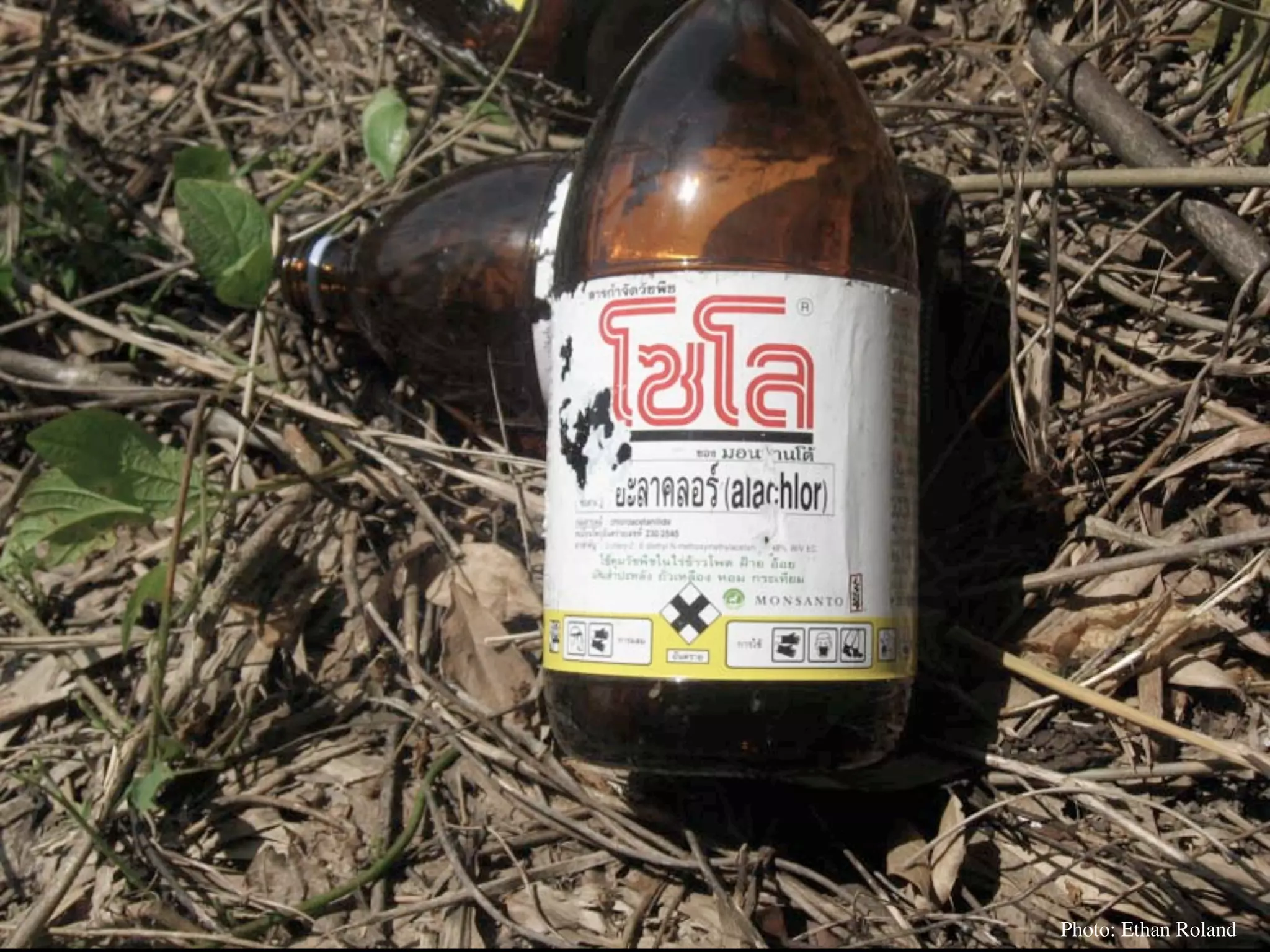 Permaculture Thailand