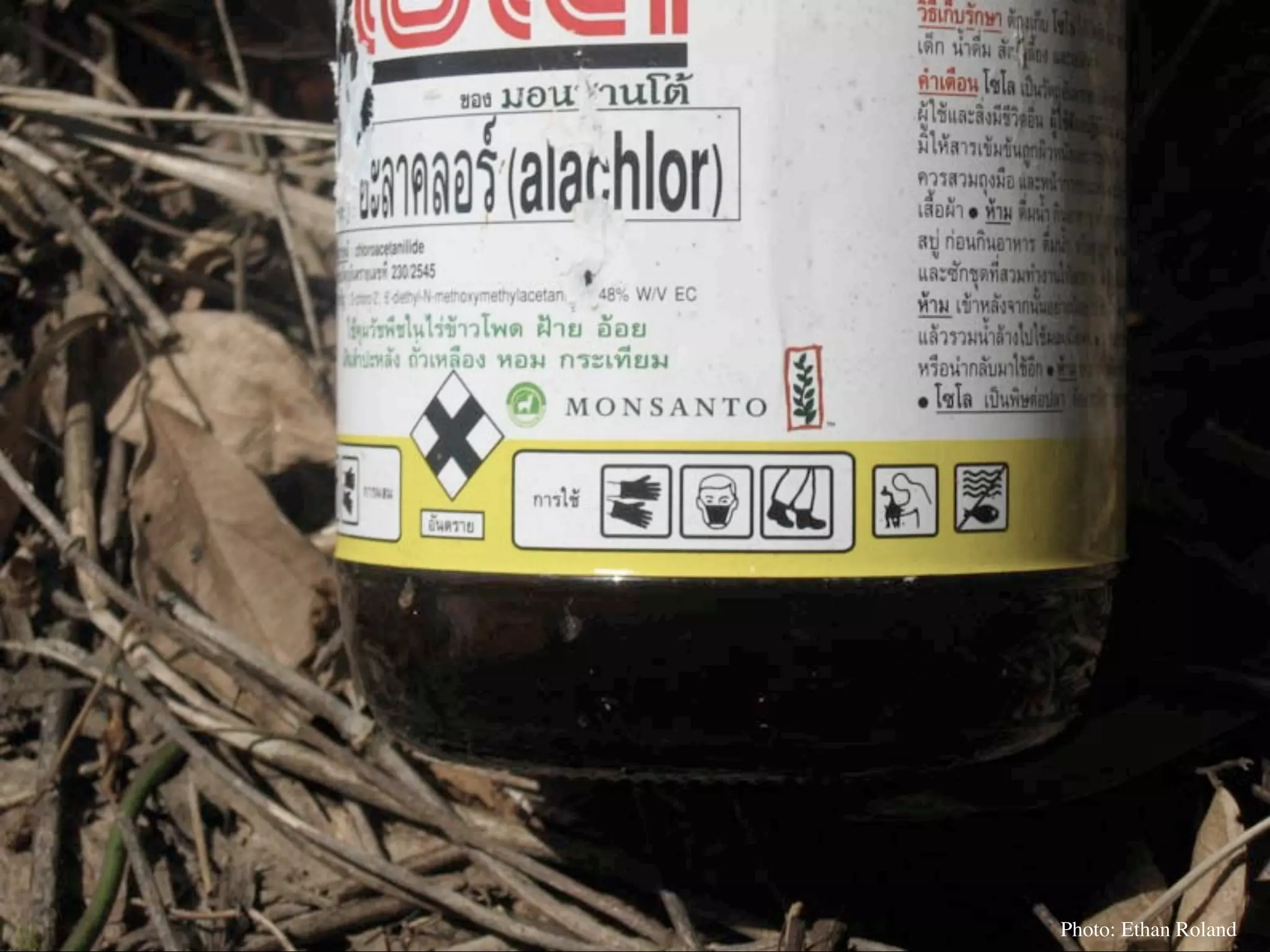 Permaculture Thailand