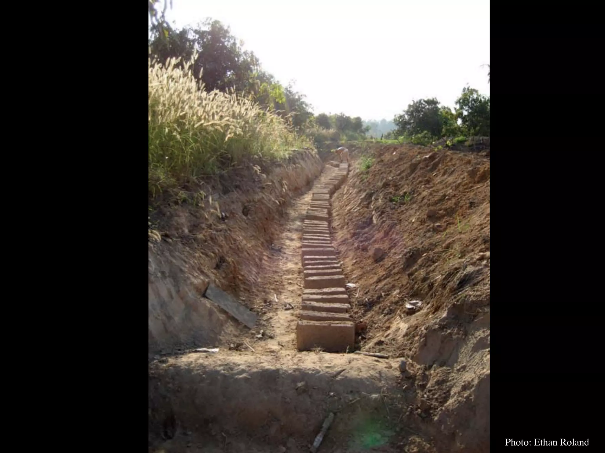 Permaculture Thailand