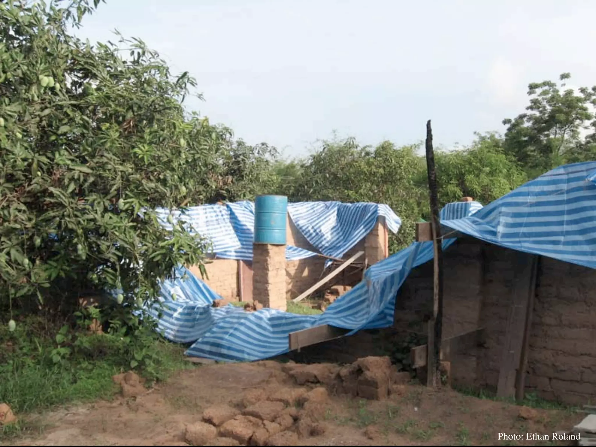 Permaculture Thailand