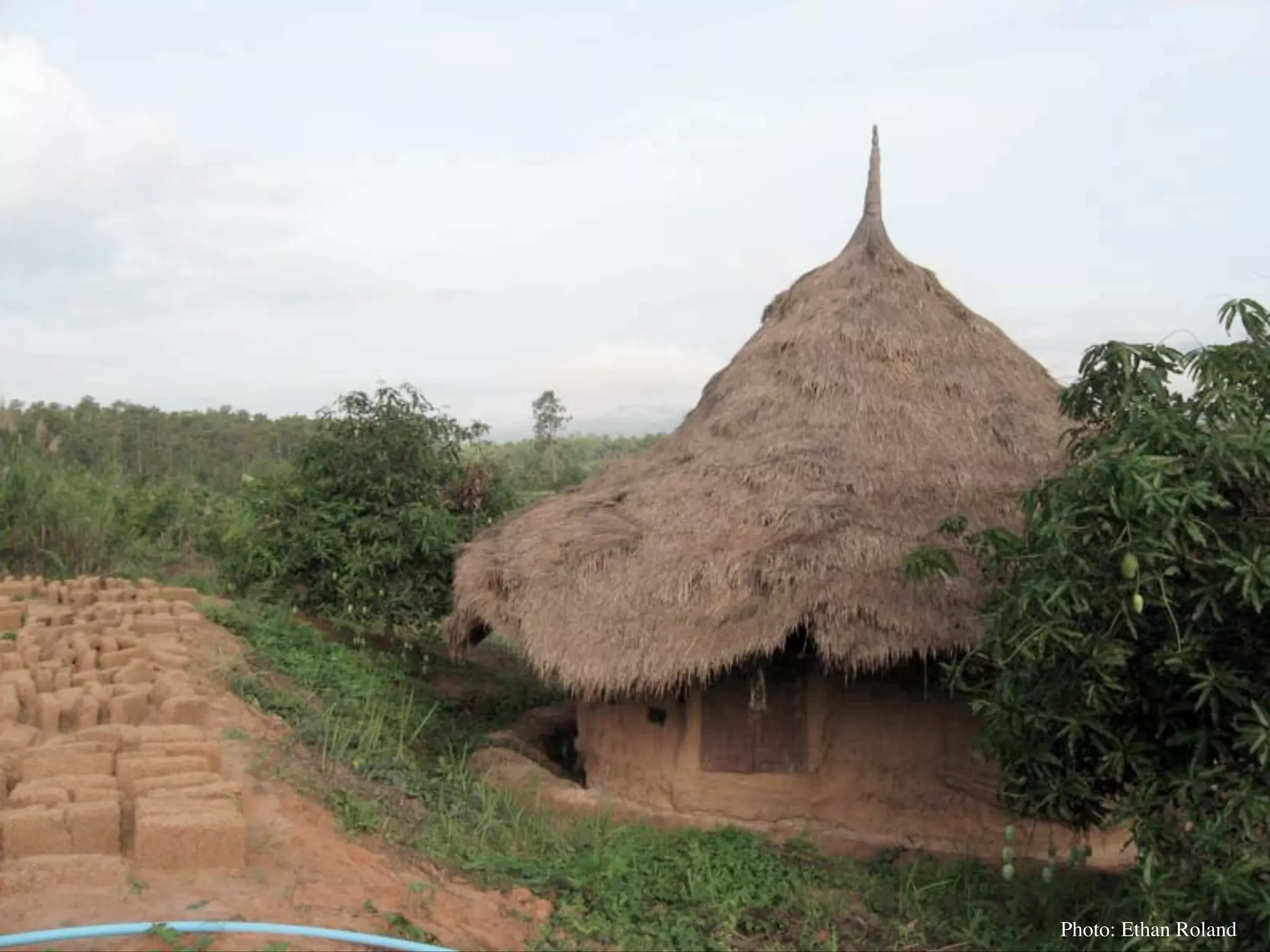 Permaculture Thailand