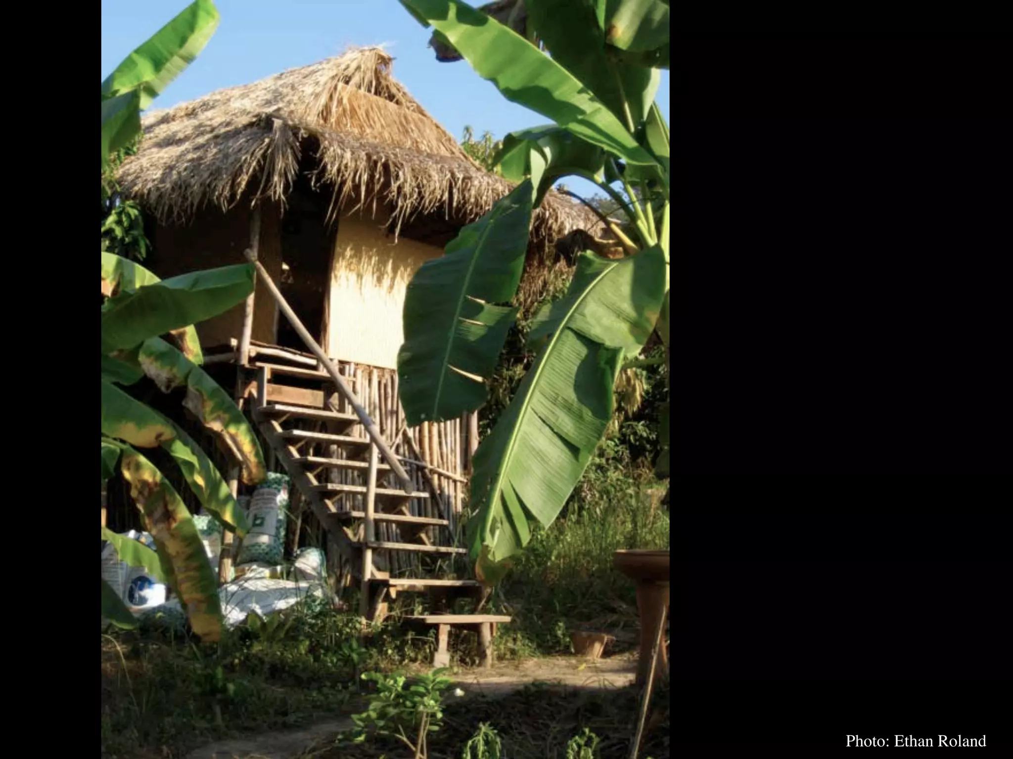 Permaculture Thailand