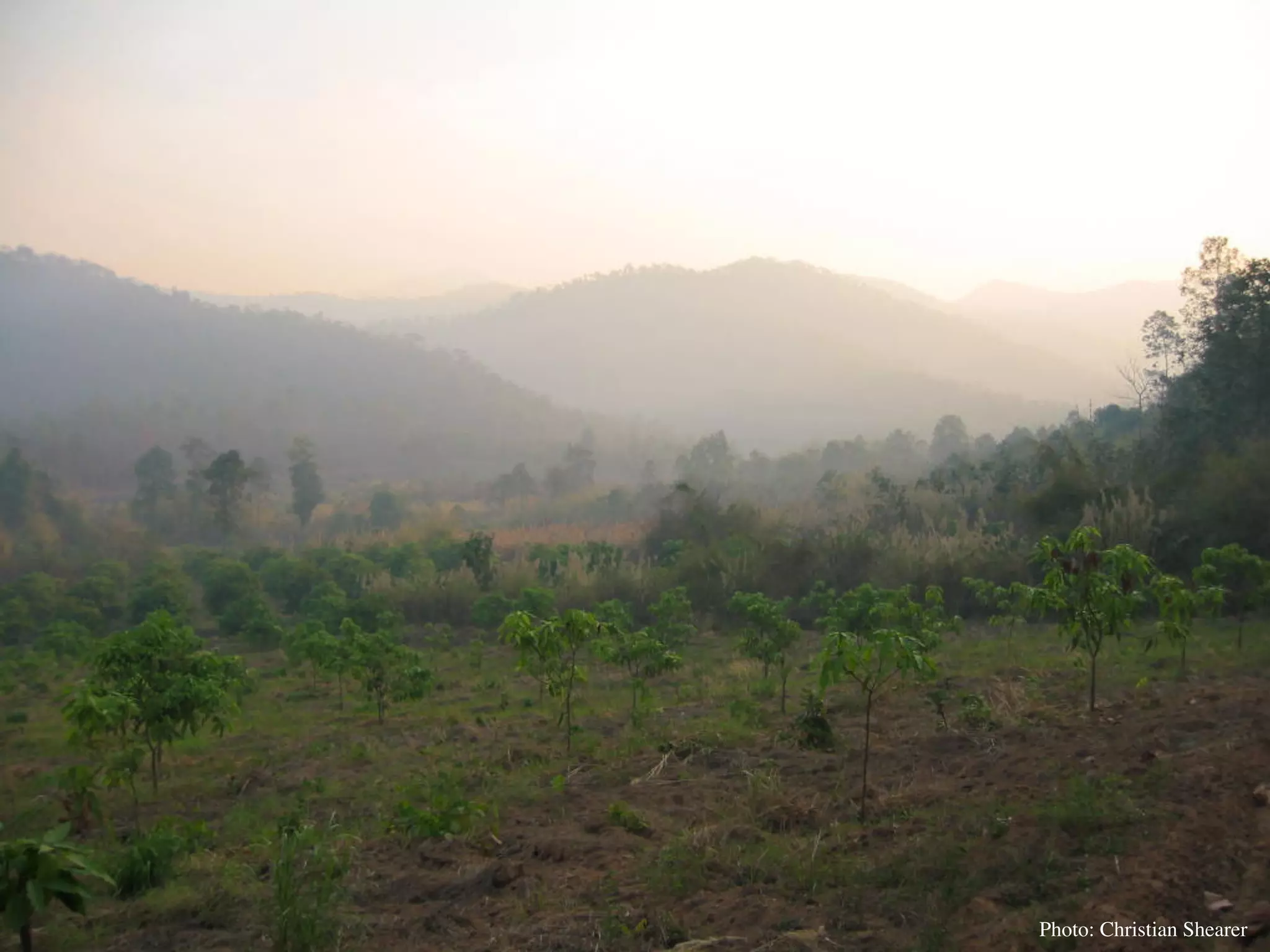 Permaculture Thailand