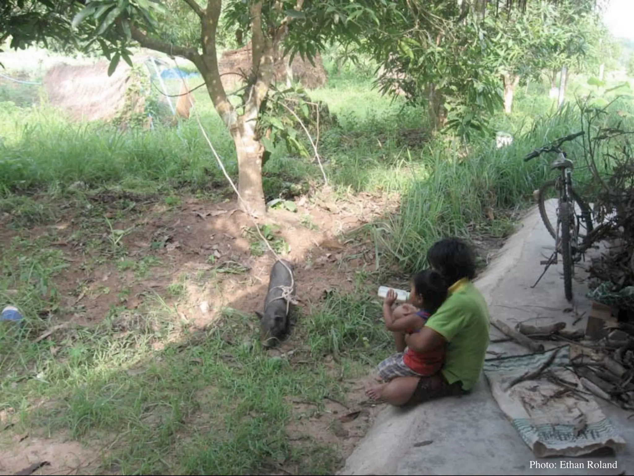 Permaculture Thailand