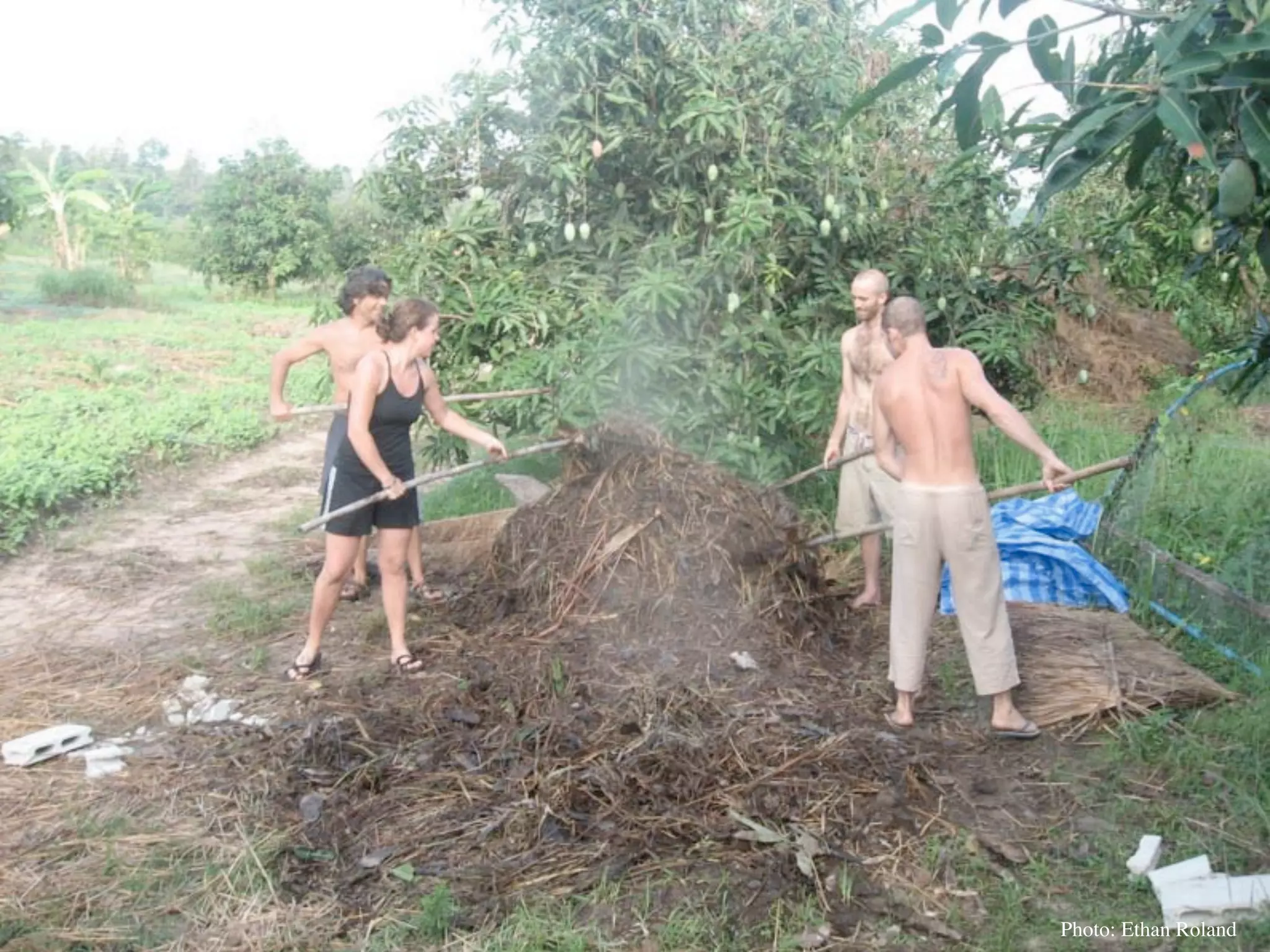 Permaculture Thailand