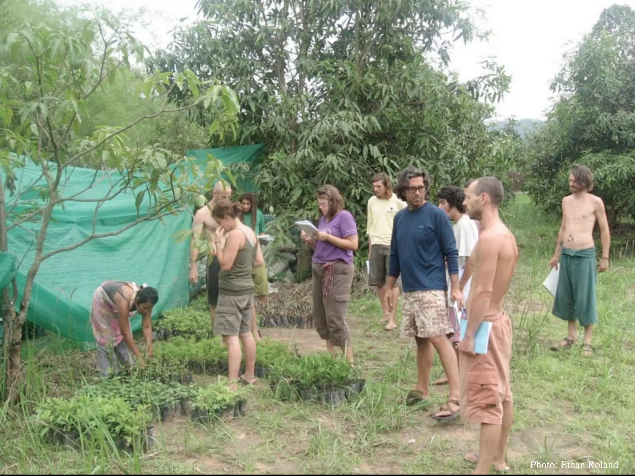 Permaculture Thailand