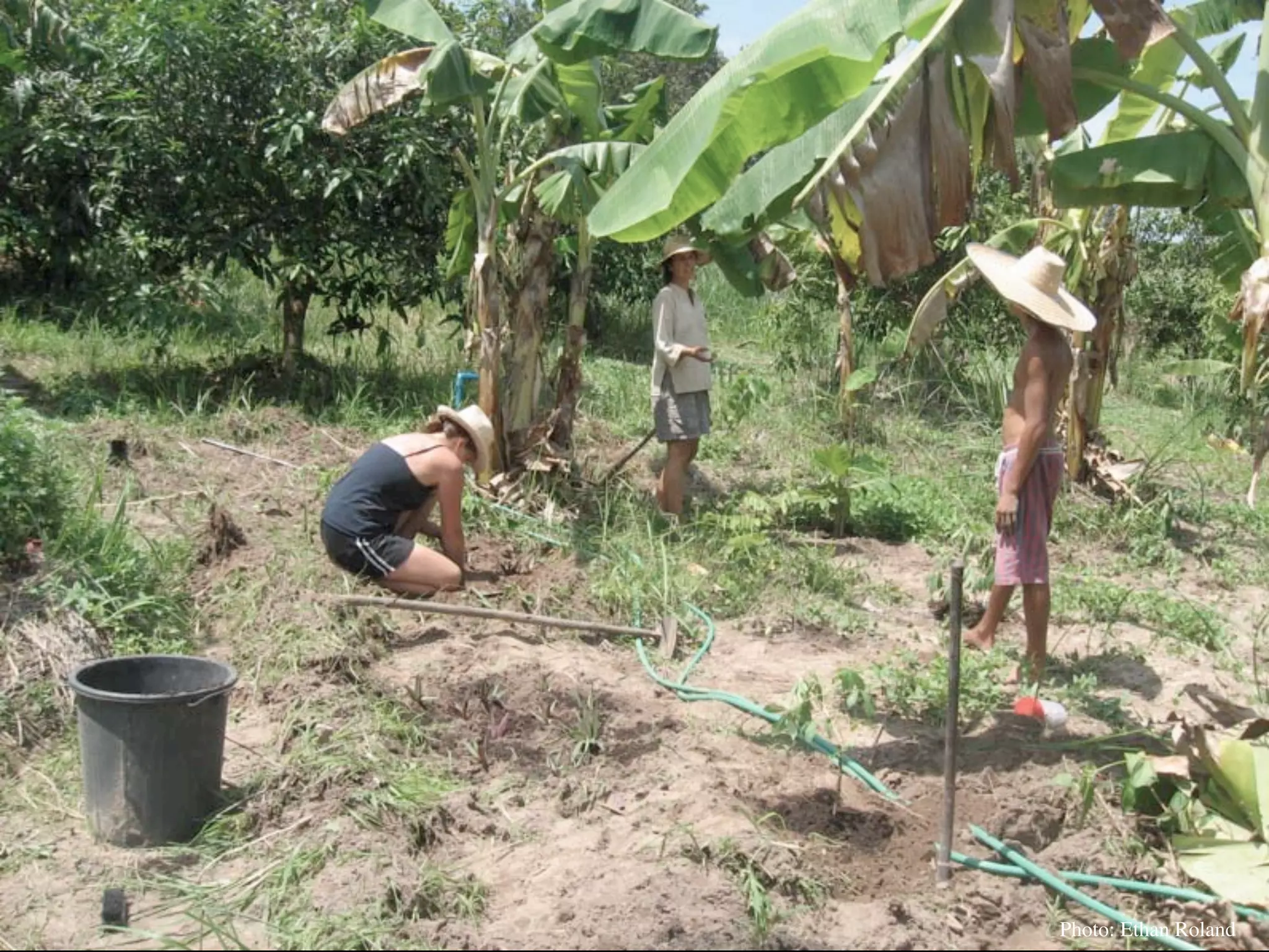 Permaculture Thailand