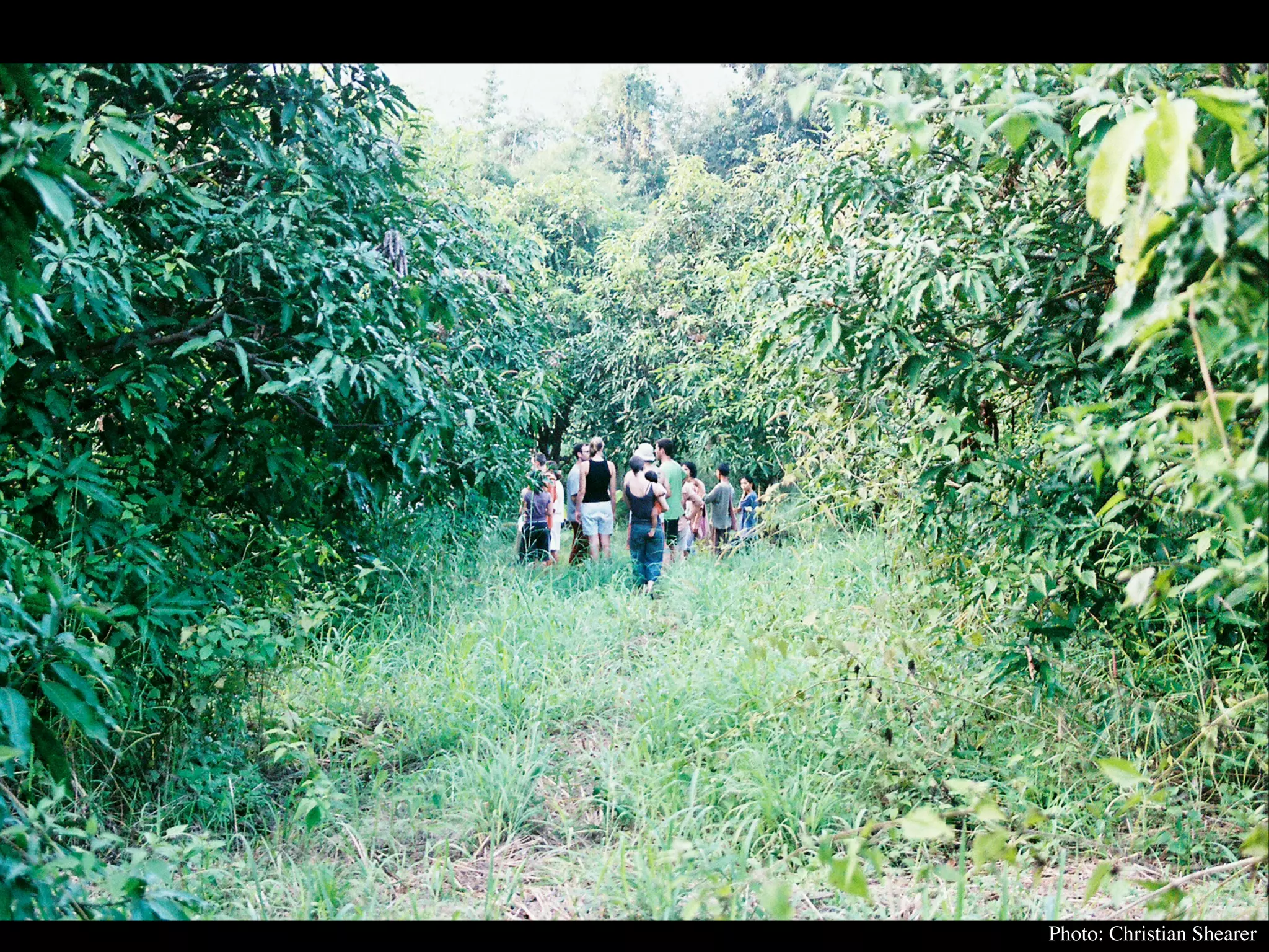 Permaculture Thailand