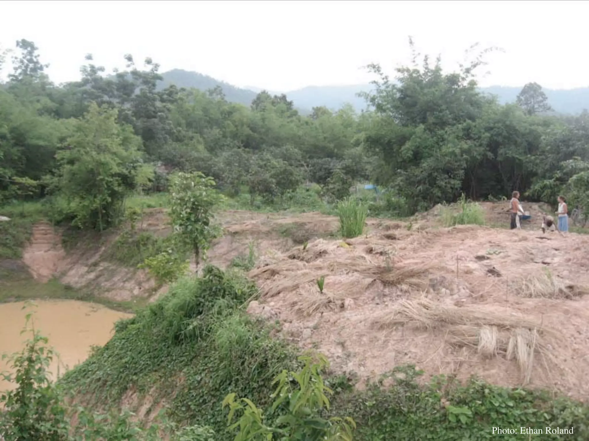 Permaculture Thailand