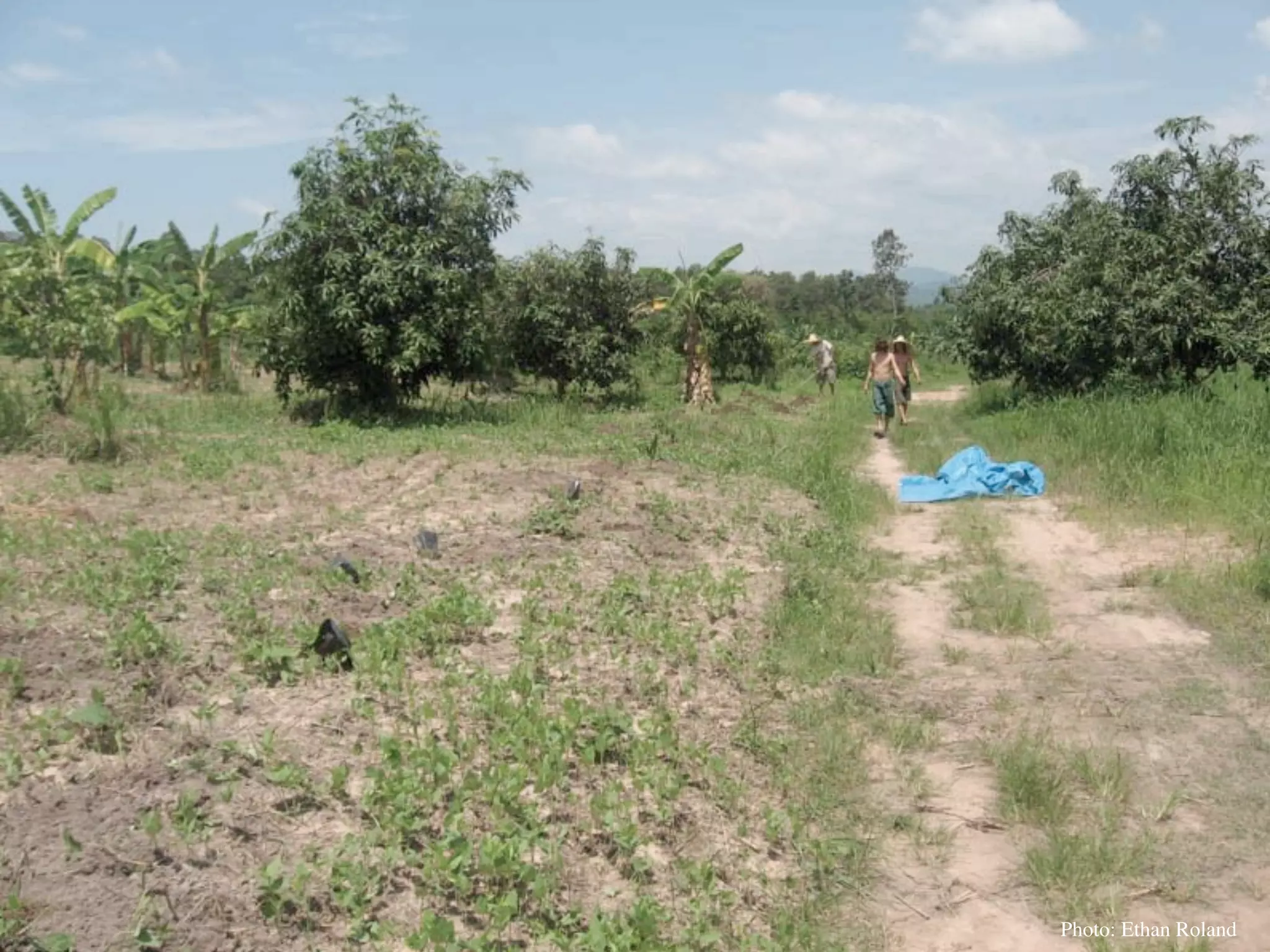 Permaculture Thailand