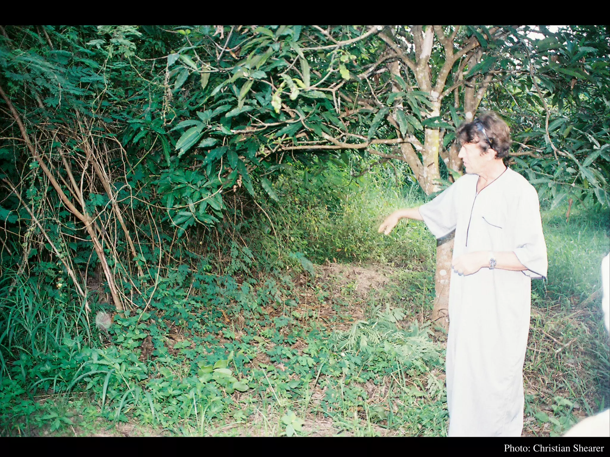 Permaculture Thailand