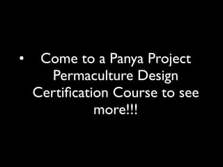 •    Come to a Panya Project
      Permaculture Design
    Certiﬁcation Course to see
              more!!!
 