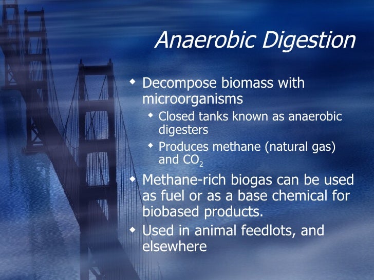 Can An Animal Generate Natural Gas Can An Animal Generate Natural Gas