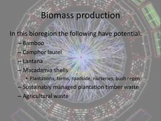 Cooking with biomass - usage