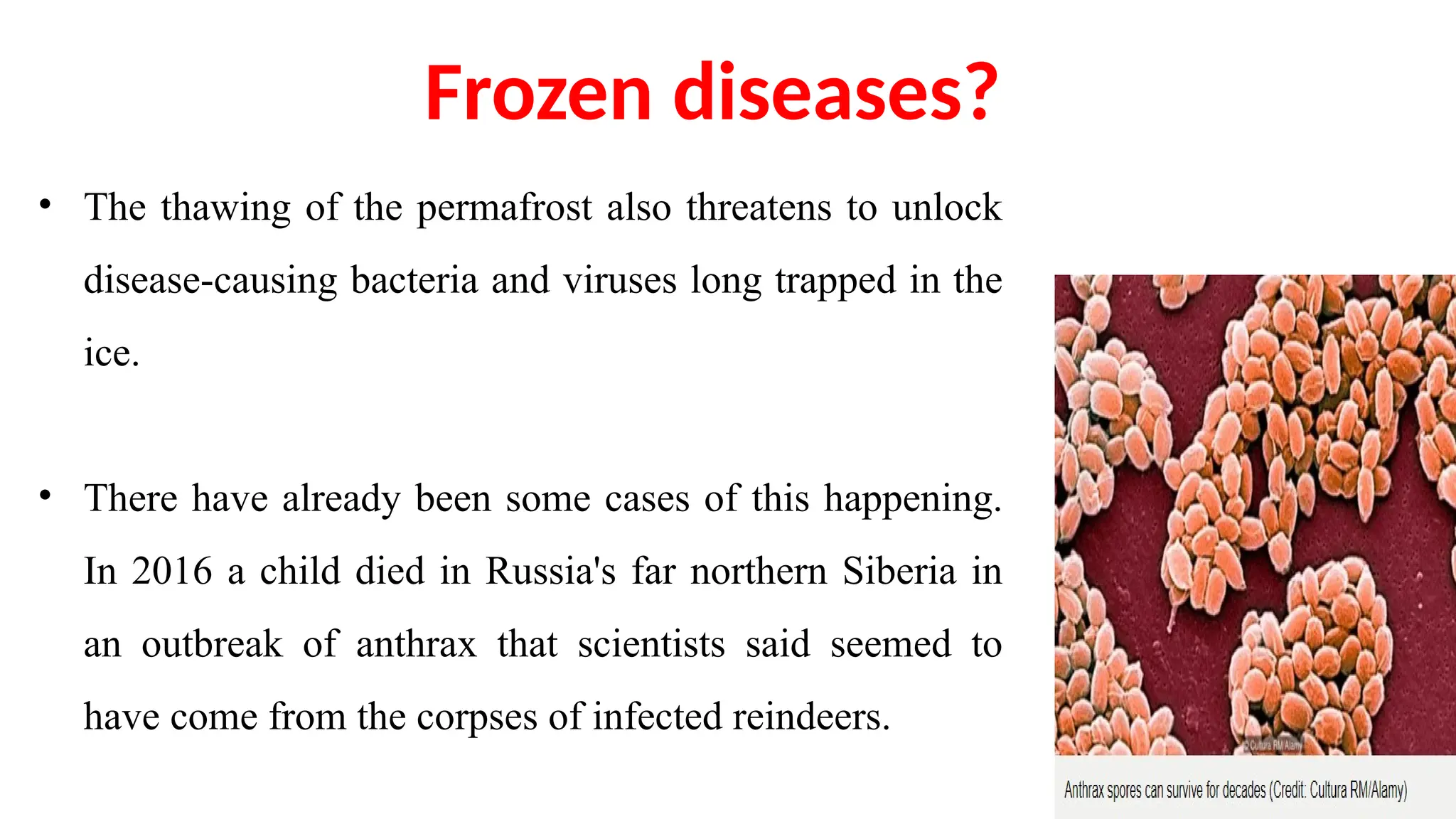• The thawing of the permafrost also threatens to unlock
disease-causing bacteria and viruses long trapped in the
ice.
• There have already been some cases of this happening.
In 2016 a child died in Russia's far northern Siberia in
an outbreak of anthrax that scientists said seemed to
have come from the corpses of infected reindeers.
Frozen diseases?
 