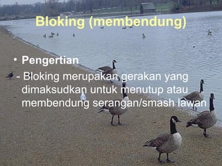 Bloking (membendung)

• Pengertian
 - Bloking merupakan gerakan yang
   dimaksudkan untuk menutup atau
   membendung serangan/smash lawan
 