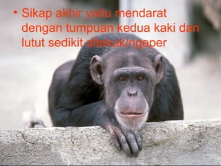 • Sikap akhir yaitu mendarat
  dengan tumpuan kedua kaki dan
  lutut sedikit ditekuk/ngeper
 