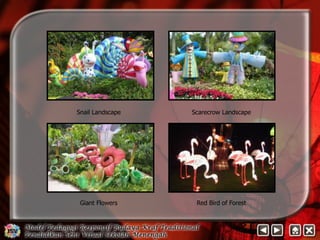 Snail Landscape Scarecrow Landscape 
Giant Flowers Red Bird of Forest 
 