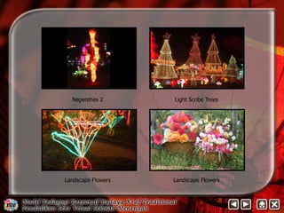 Nepenthes 2 Light Scribe Trees 
Landscape Flowers Landscape Flowers 
 