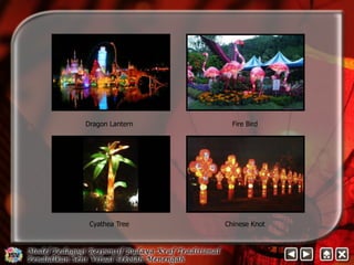 Dragon Lantern Fire Bird 
Cyathea Tree Chinese Knot 
 