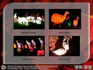 Polar Bear Lantern Alpaca Lantern 
Vulture Lantern Swan Lantern 
 