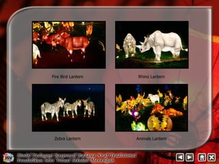 Fire Bird Lantern Rhino Lantern 
Zebra Lantern Animals Lantern 
 