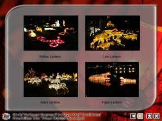 Python Lantern Lion Lantern 
Zebra Lantern Hippo Lantern 
 