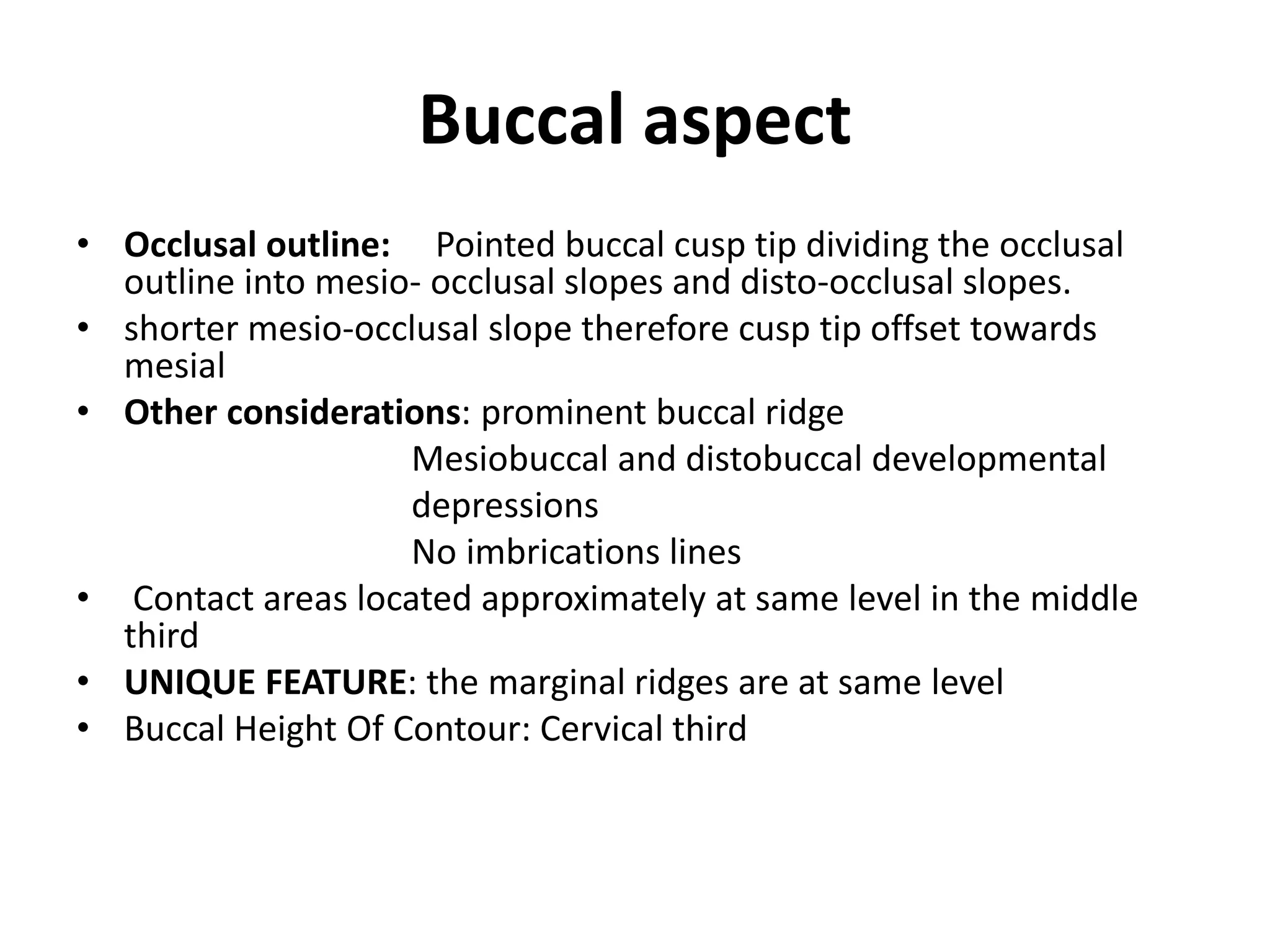 Buccal aspect
• Occlusal outline: Pointed buccal cusp tip dividing the occlusal
outline into mesio- occlusal slopes and disto-occlusal slopes.
• shorter mesio-occlusal slope therefore cusp tip offset towards
mesial
• Other considerations: prominent buccal ridge
Mesiobuccal and distobuccal developmental
depressions
No imbrications lines
• Contact areas located approximately at same level in the middle
third
• UNIQUE FEATURE: the marginal ridges are at same level
• Buccal Height Of Contour: Cervical third
 