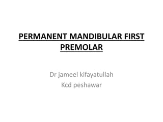 PERMANENT MANDIBULAR FIRST
PREMOLAR
Dr jameel kifayatullah
Kcd peshawar
 